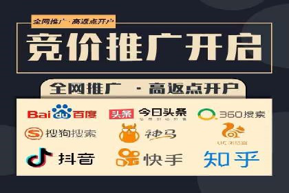 SEM主管实战：案例分析与优化策略